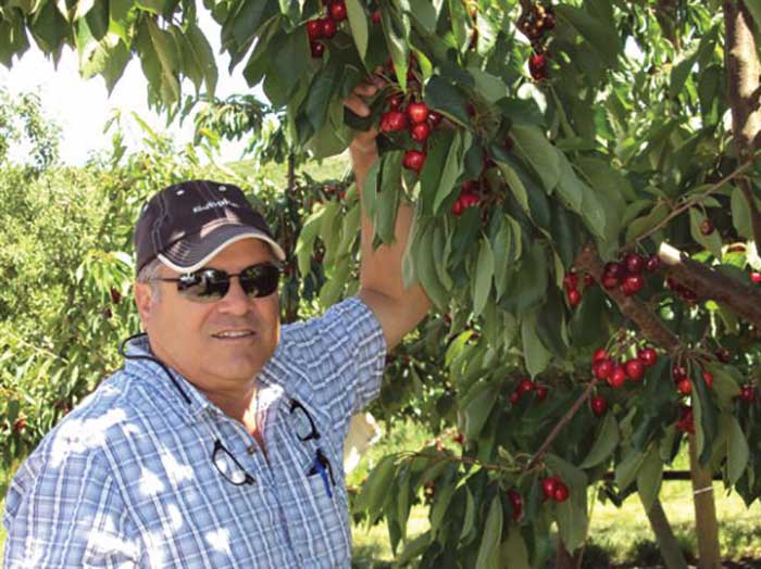 Valicoff Farms