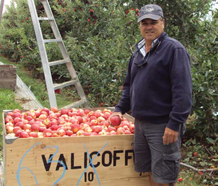 Valicoff Farms
